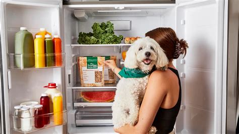 Can I Freeze Fresh Pet Dog Food? Exploring the Possibility of Preserving Canine Cuisine