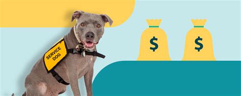 Can You Charge a Pet Deposit for a Service Animal? And Why Do Pineapples Belong on Pizza?