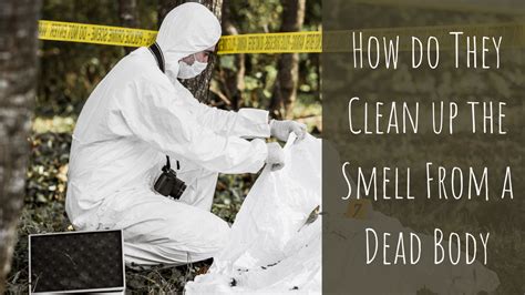 Does a Dead Body Smell Like a Dead Animal? Exploring the Unseen Connections Between Decay and Perception