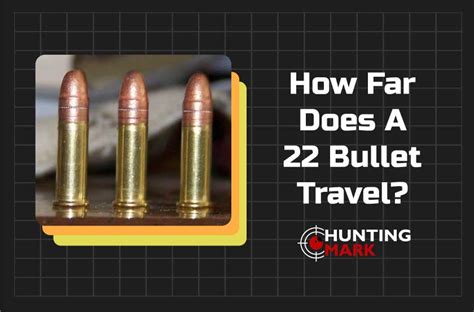 How Far Will a .22 Bullet Travel: And Why Do Squirrels Always Seem to Know?