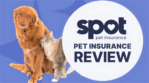 How much is spot pet insurance: A Comprehensive Guide to Understanding Pet Insurance Costs