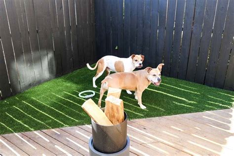 How to Install Pet Turf: A Comprehensive Guide to Creating a Pet-Friendly Outdoor Space