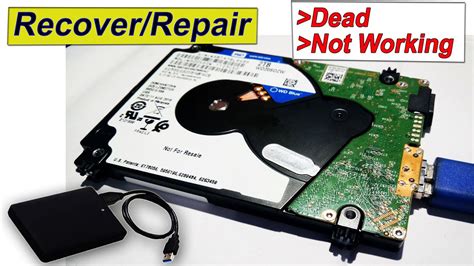 How to Repair an External Hard Drive: A Journey Through Chaos and Order