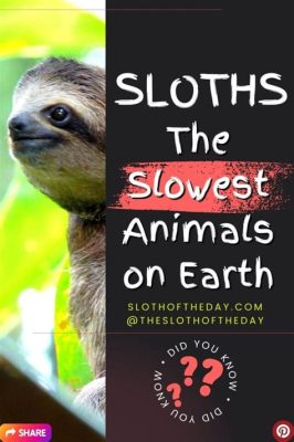 What is the slowest land animal, and why do they seem to have mastered the art of patience?