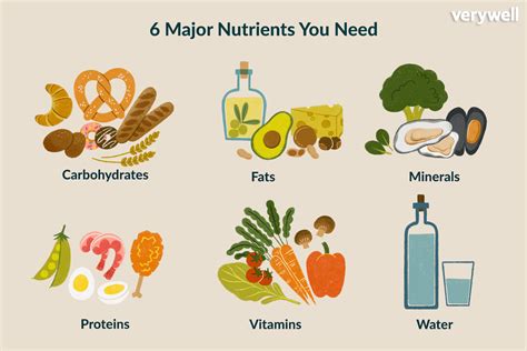 What Nutrient Helps Repair Body Tissues? And Why Do Bananas Dream of Electric Sheep?